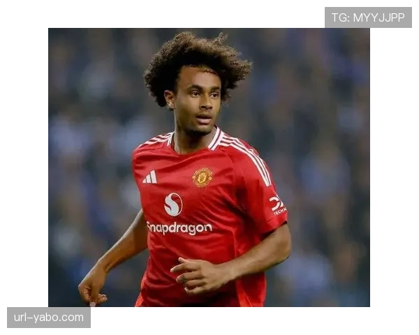 专访博洛尼亚前锋齐尔克泽：谈适应意甲节奏与自己的未来规划